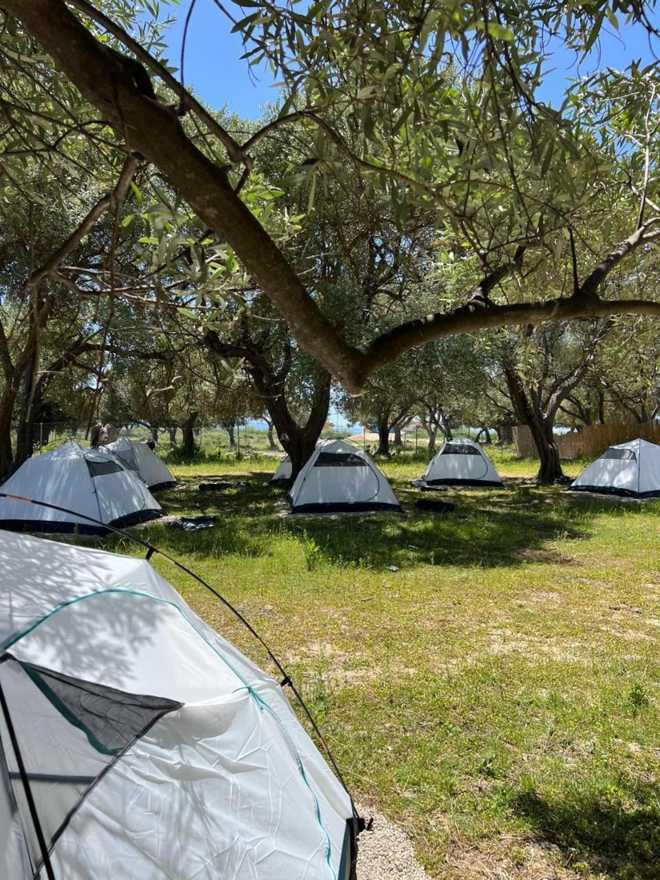 Hotel Borsh Olive Camping Exterior foto